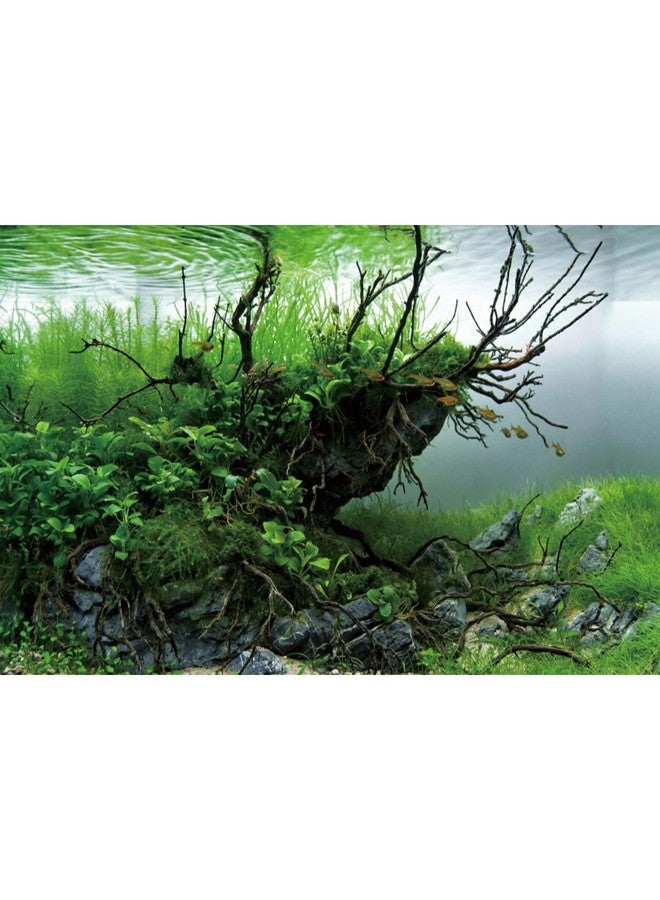 AWERT 24x16 inches Branches Fish Tank Background Seaweed Aquarium Background River Bed & Lake Aquarium Background Vinyl Background - Image 1